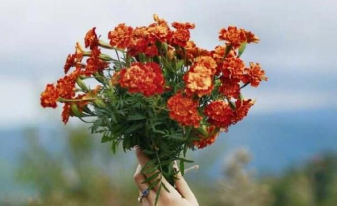 伤心的说说句子文案伤感