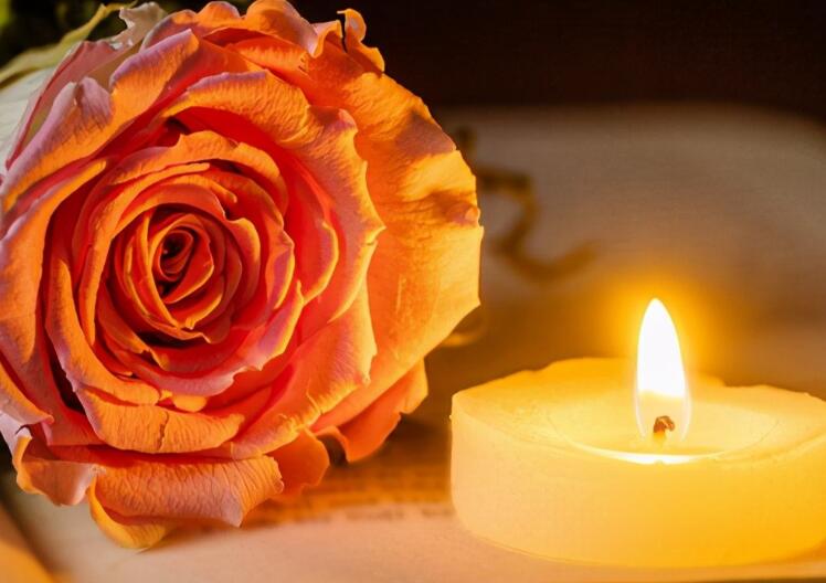 有幸遇见你的唯美句子文案