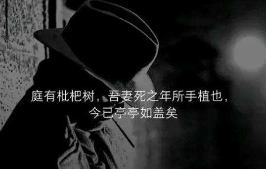 单身孤独说说文案心情短语