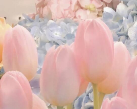 微商回归朋友圈的软文