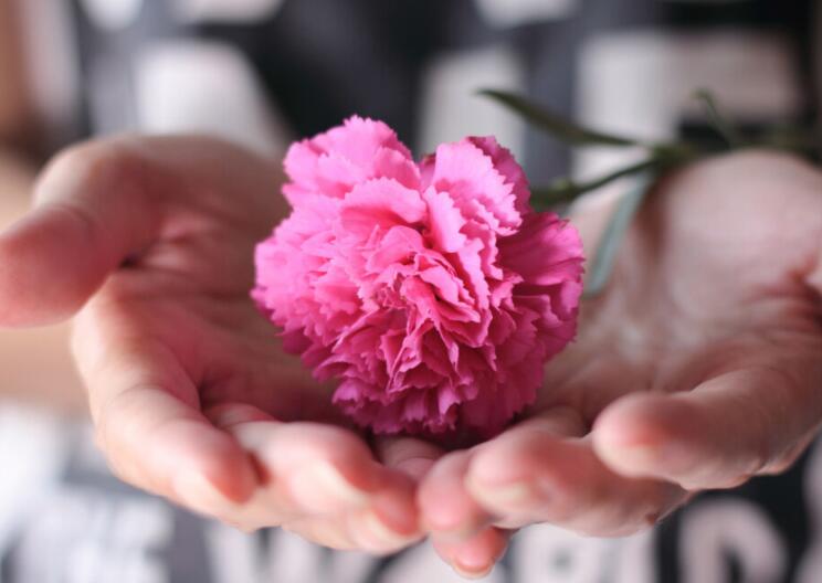 珍惜生命感恩生活的句子文案