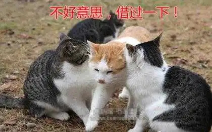 逗比的说说文案发朋友圈的