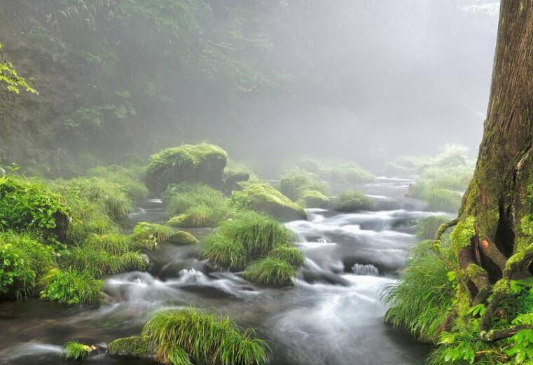 形容小溪流水的句子文案