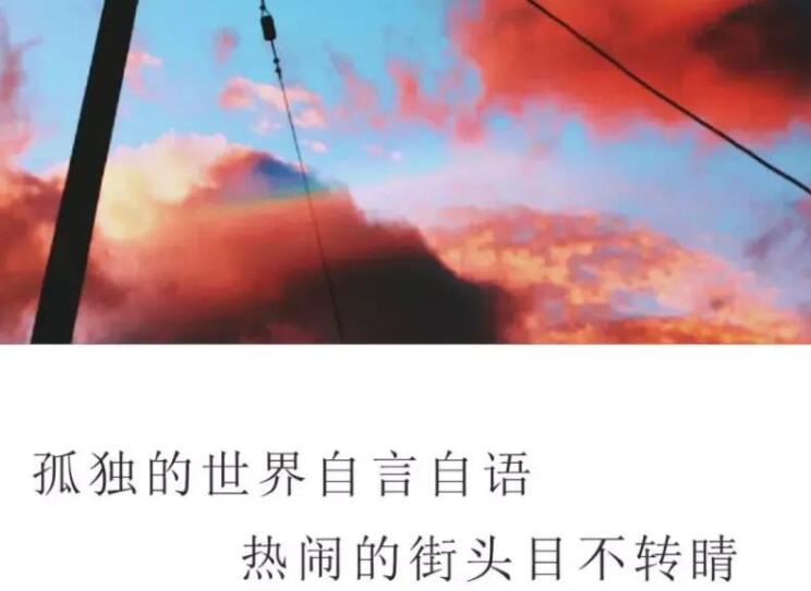 你的孤独虽败犹荣经典语录文案