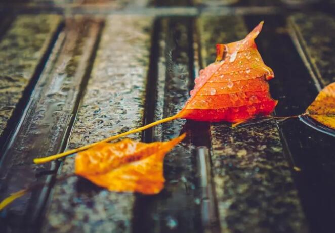 含有雨的唯美句子文案