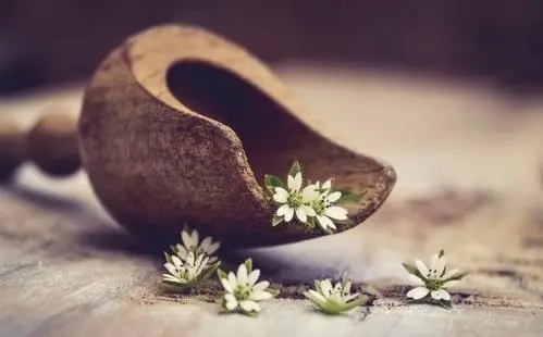 那些美到极致的句子文案