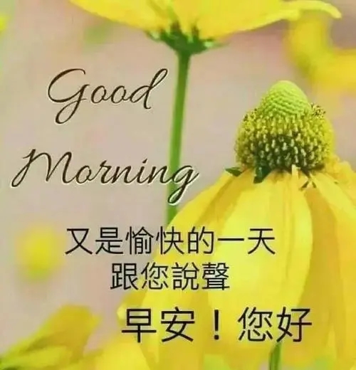 给朋友问候语及关心话