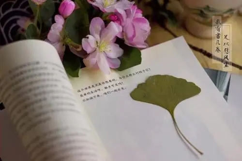 工作每日分享一段话