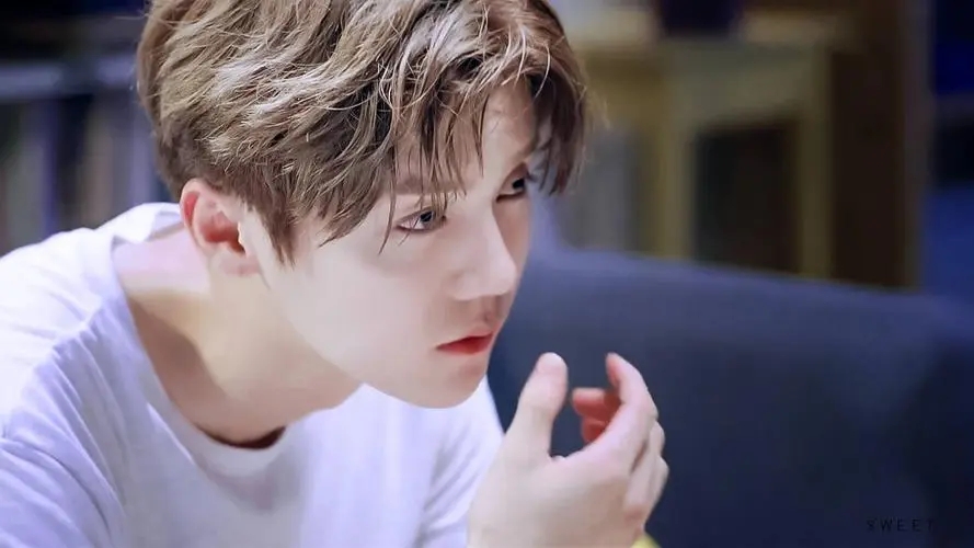 关于鹿晗生日的说说文案