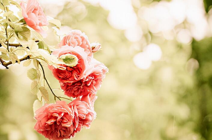 励志语录文案经典词语