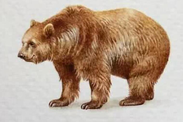 看透社会现实的句子文案