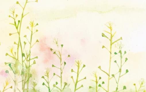 抄写精美句200字