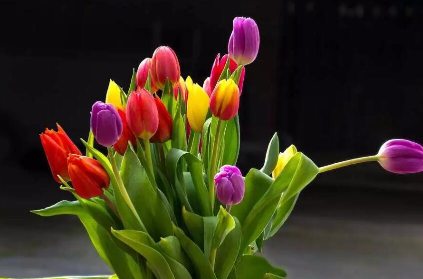 想念爱人的早安问候语