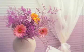 英文优美文章摘抄大全