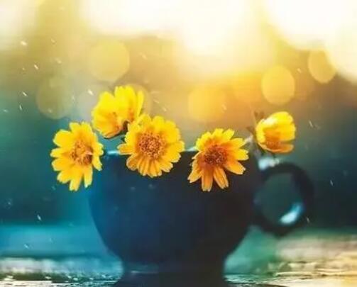 静下心来沉淀自己说说文案