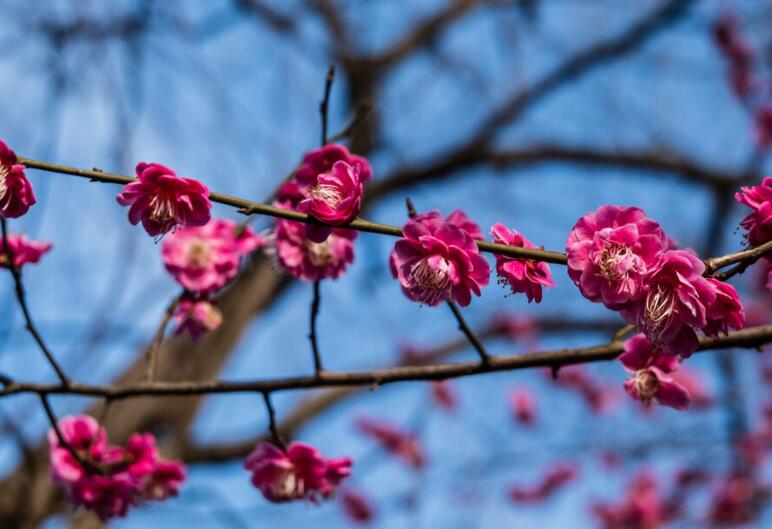 做个坚强的自己说说句子文案
