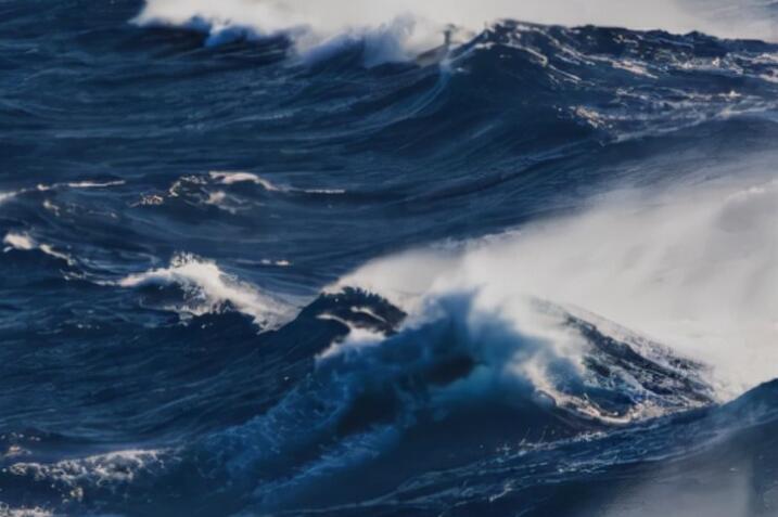 人总会长大的句子文案