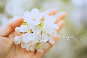 晚上睡觉幽默风趣的俏皮句子文案