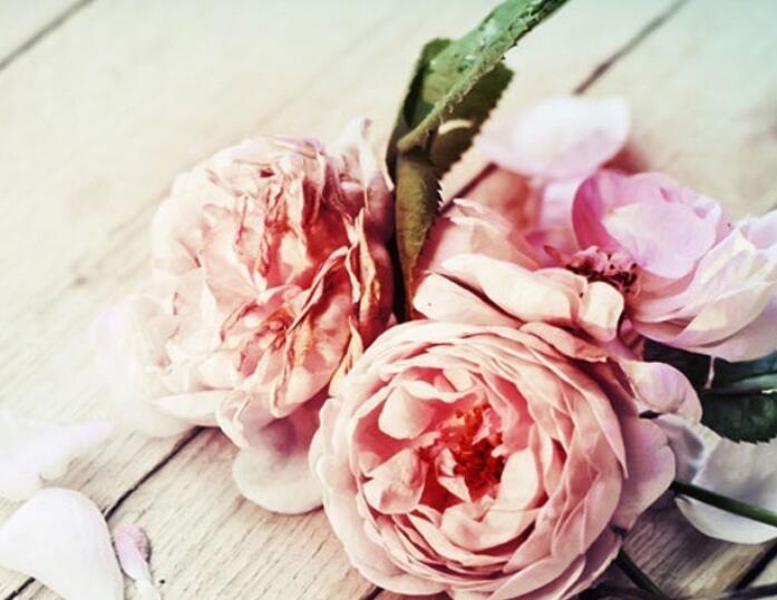 关于粉色的心情句子文案