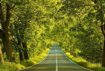 思念远方亲人简短的话