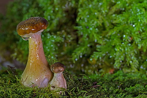 跟老公早上问候语