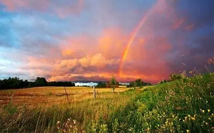 享受美景的心情短语