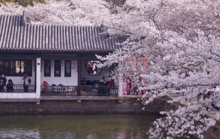 看透一切的绝情句子文案