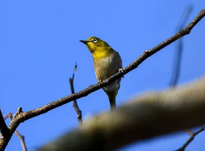 朋友圈早安激励语2017