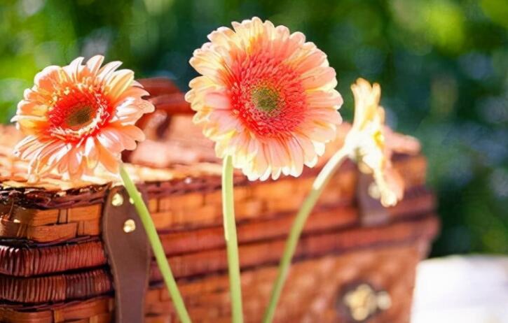 简短暖心励志的小句子文案