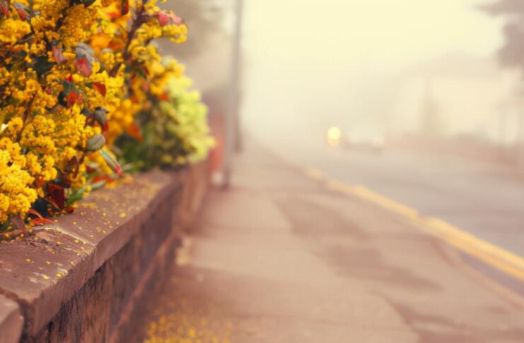 励志语录文案短句