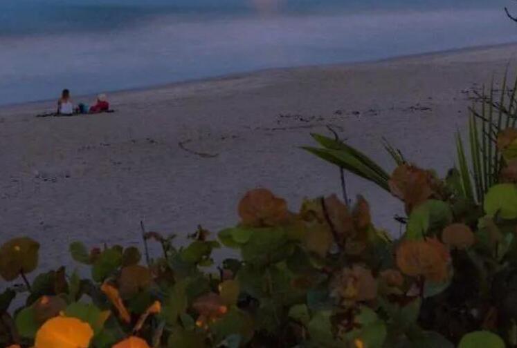 有意境的浪漫语录文案大全