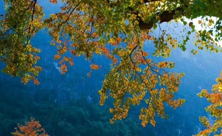 签名说说文案简单短句