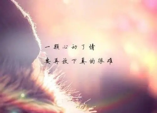 qq个性签名大全