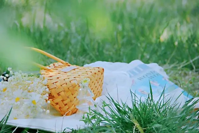 关于夏日的文艺句子文案