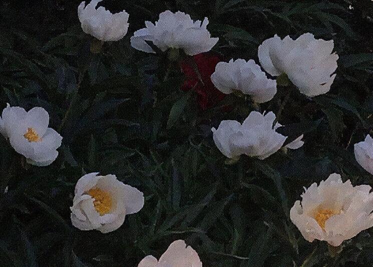 深夜失恋的心情短语