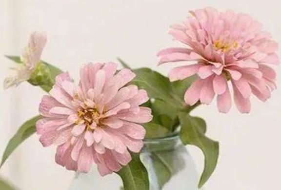 节日温馨祝福语