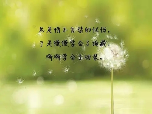 内心被感动的句子文案