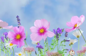 文案短句无关爱情温柔