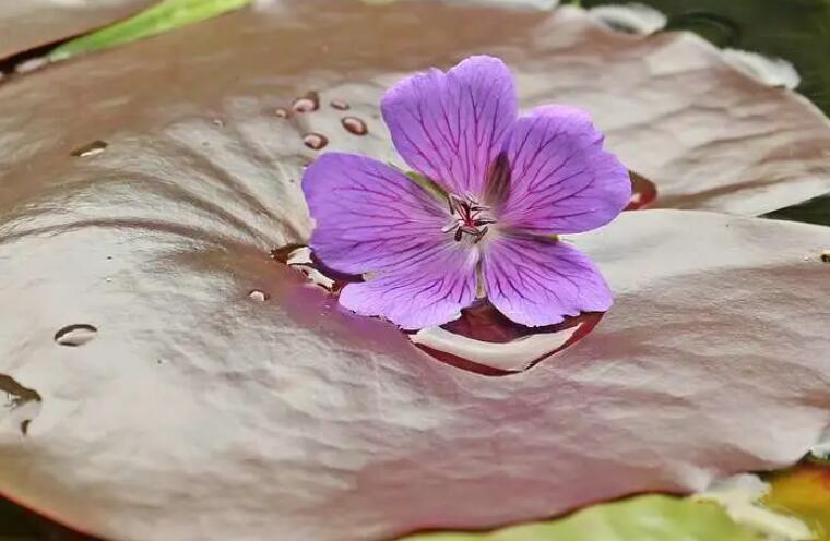 晚上好关心祝福语图片星期天