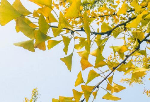 安慰情人分手的句子文案