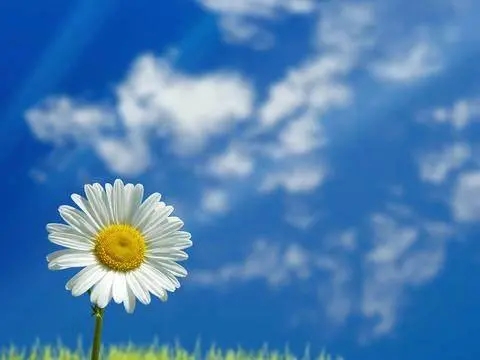 关于开朗的优美句子文案