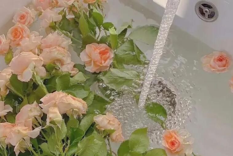 温柔干净的个性签名少女