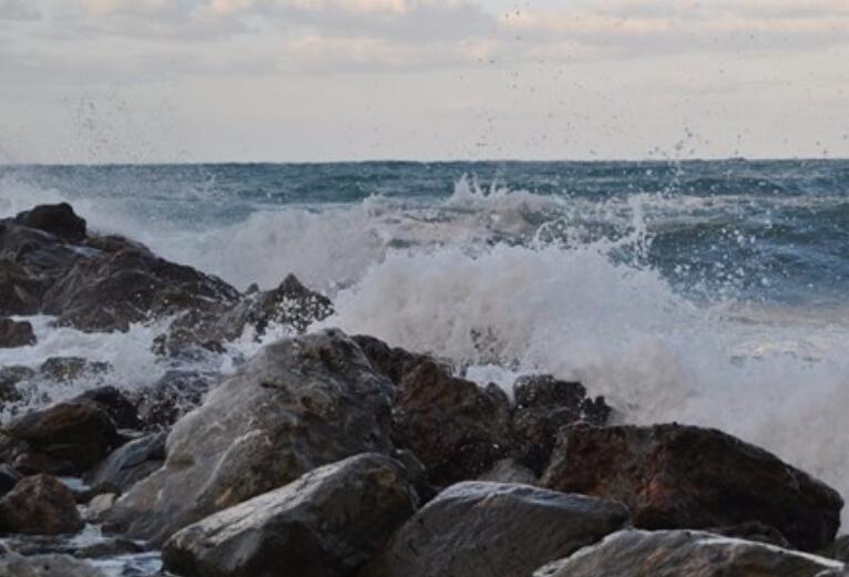 情人节含蓄表白短句