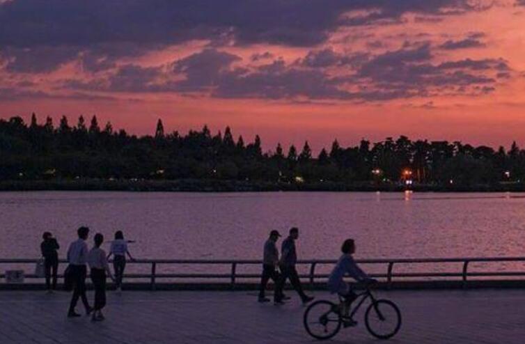 小说句子文案摘抄