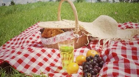 春天野餐发朋友圈的句子文案