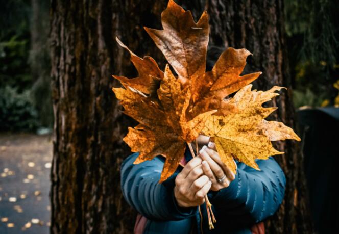 自己一个人的心情说说文案