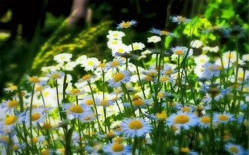 十个字的励志句子文案