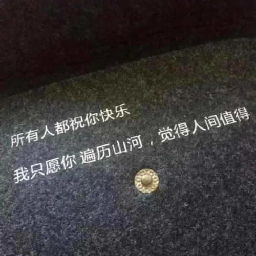 唯独喜欢你的句子文案