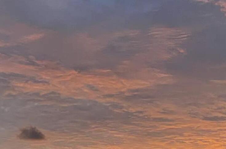 40个英语短语造句