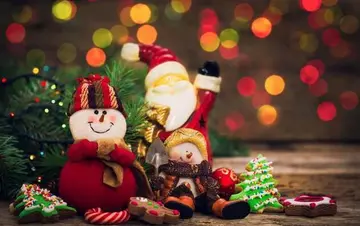 圣诞节祝福语30字